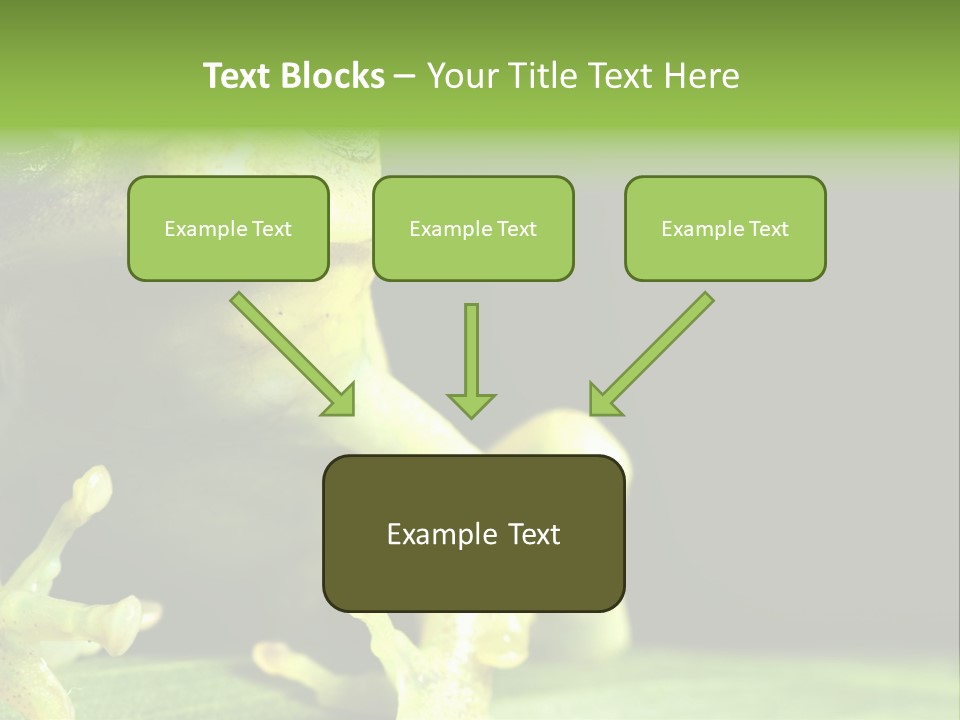 A Green Frog Sitting On Top Of A Leaf PowerPoint Template