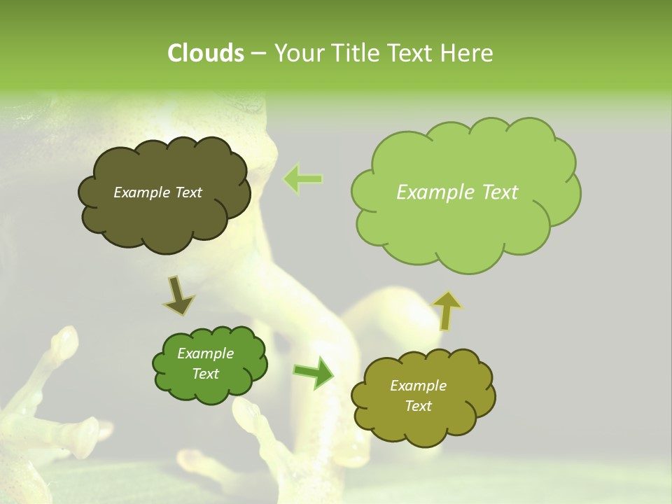 A Green Frog Sitting On Top Of A Leaf PowerPoint Template