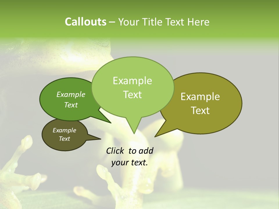 A Green Frog Sitting On Top Of A Leaf PowerPoint Template