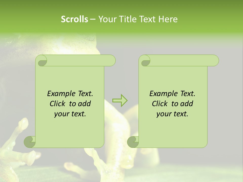 A Green Frog Sitting On Top Of A Leaf PowerPoint Template