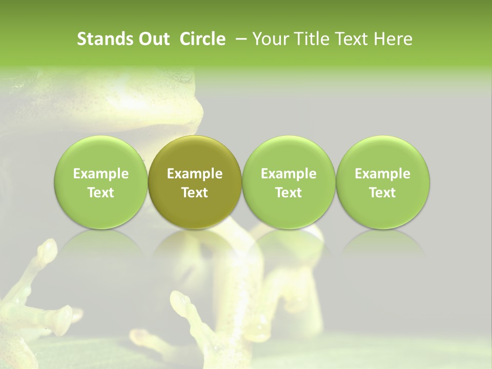 A Green Frog Sitting On Top Of A Leaf PowerPoint Template