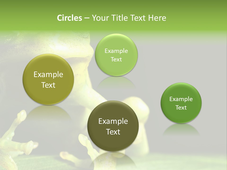 A Green Frog Sitting On Top Of A Leaf PowerPoint Template