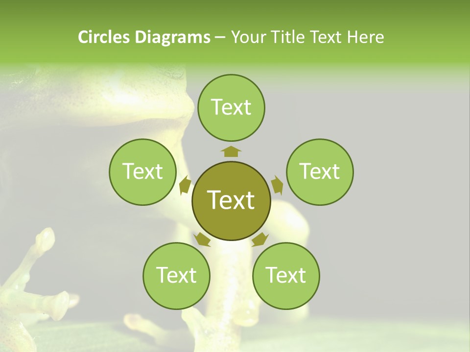 A Green Frog Sitting On Top Of A Leaf PowerPoint Template