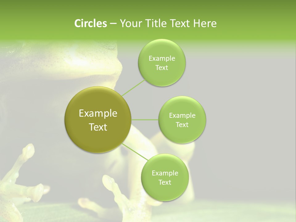 A Green Frog Sitting On Top Of A Leaf PowerPoint Template