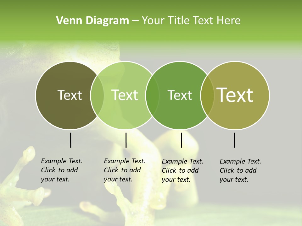 A Green Frog Sitting On Top Of A Leaf PowerPoint Template