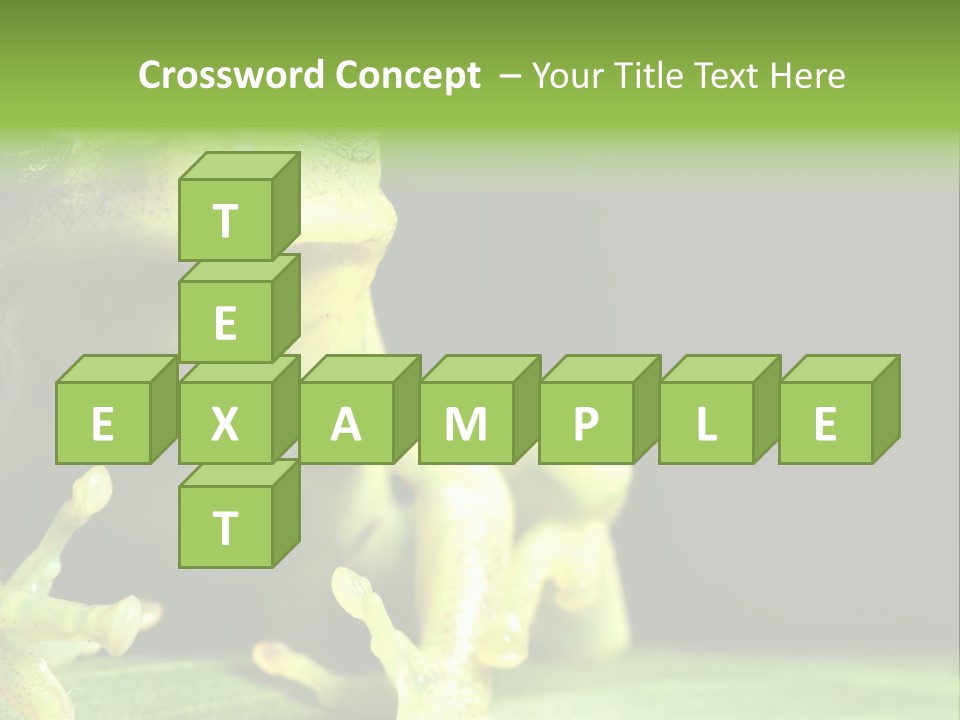 A Green Frog Sitting On Top Of A Leaf PowerPoint Template