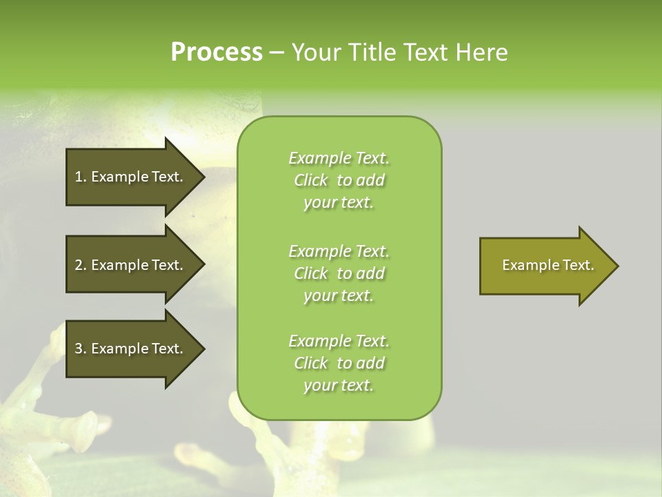 A Green Frog Sitting On Top Of A Leaf PowerPoint Template