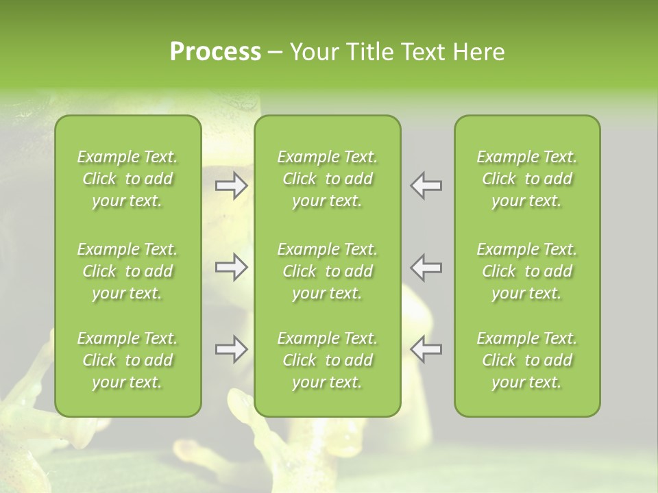 A Green Frog Sitting On Top Of A Leaf PowerPoint Template