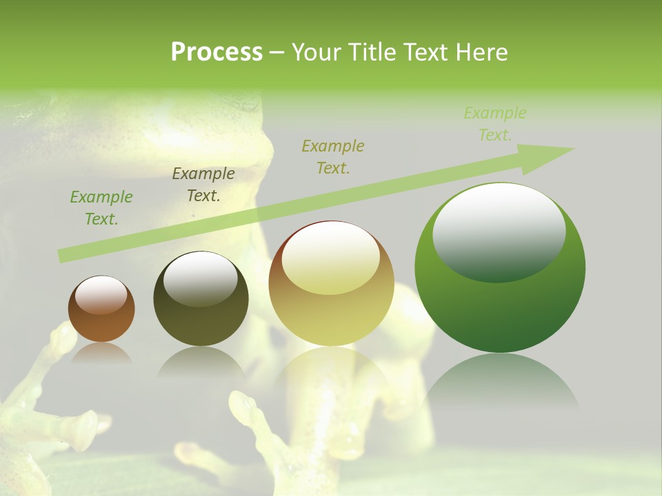 A Green Frog Sitting On Top Of A Leaf PowerPoint Template