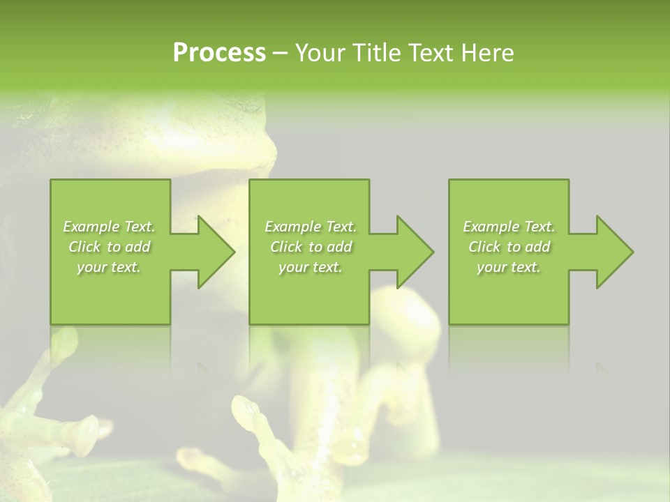 A Green Frog Sitting On Top Of A Leaf PowerPoint Template