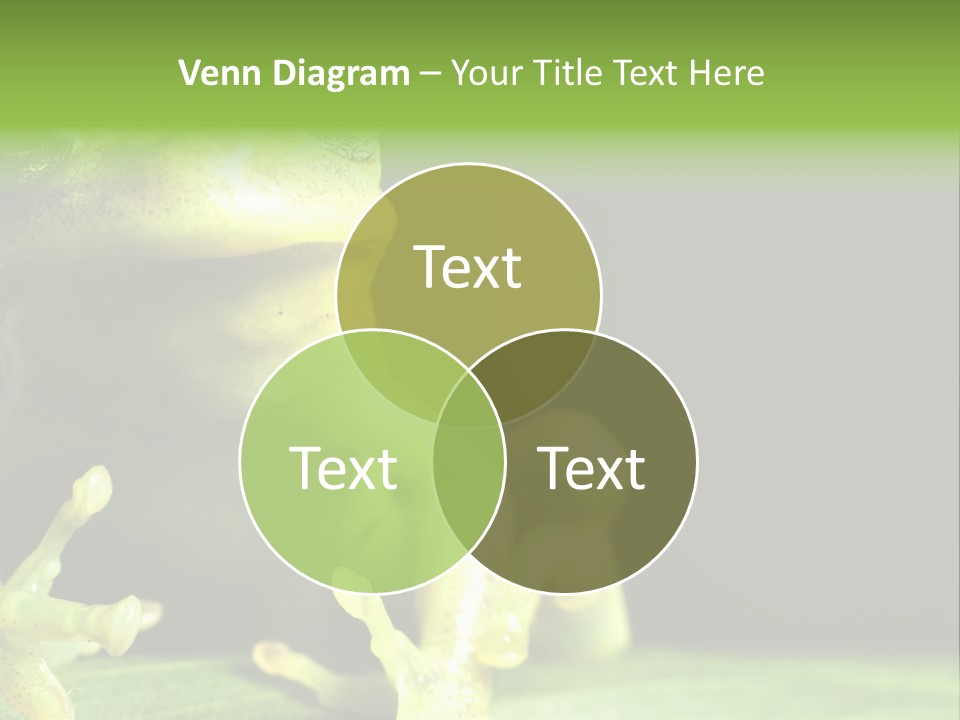 A Green Frog Sitting On Top Of A Leaf PowerPoint Template