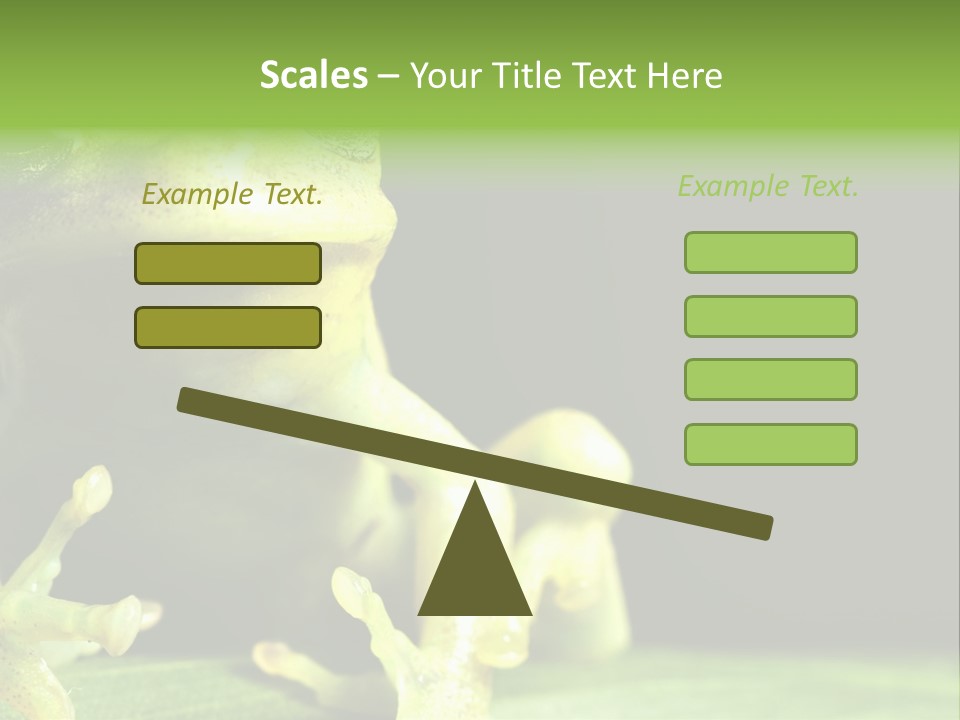 A Green Frog Sitting On Top Of A Leaf PowerPoint Template