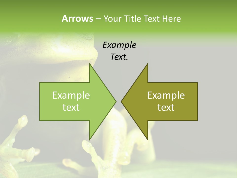 A Green Frog Sitting On Top Of A Leaf PowerPoint Template