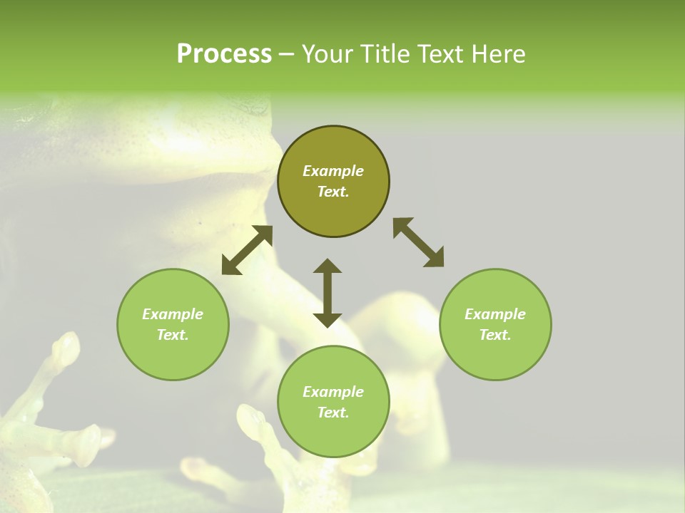 A Green Frog Sitting On Top Of A Leaf PowerPoint Template