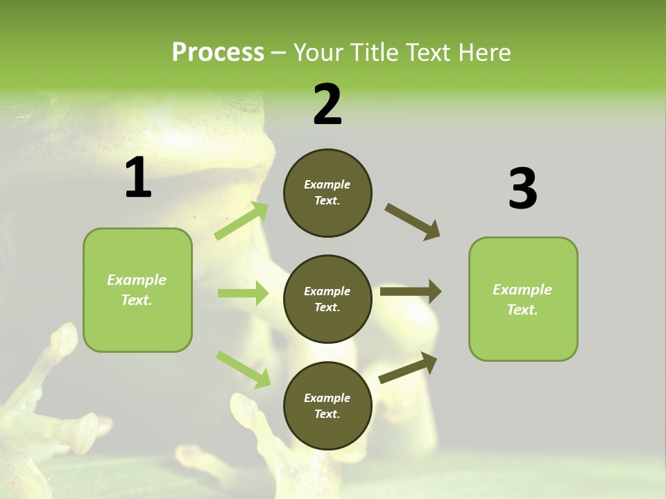 A Green Frog Sitting On Top Of A Leaf PowerPoint Template