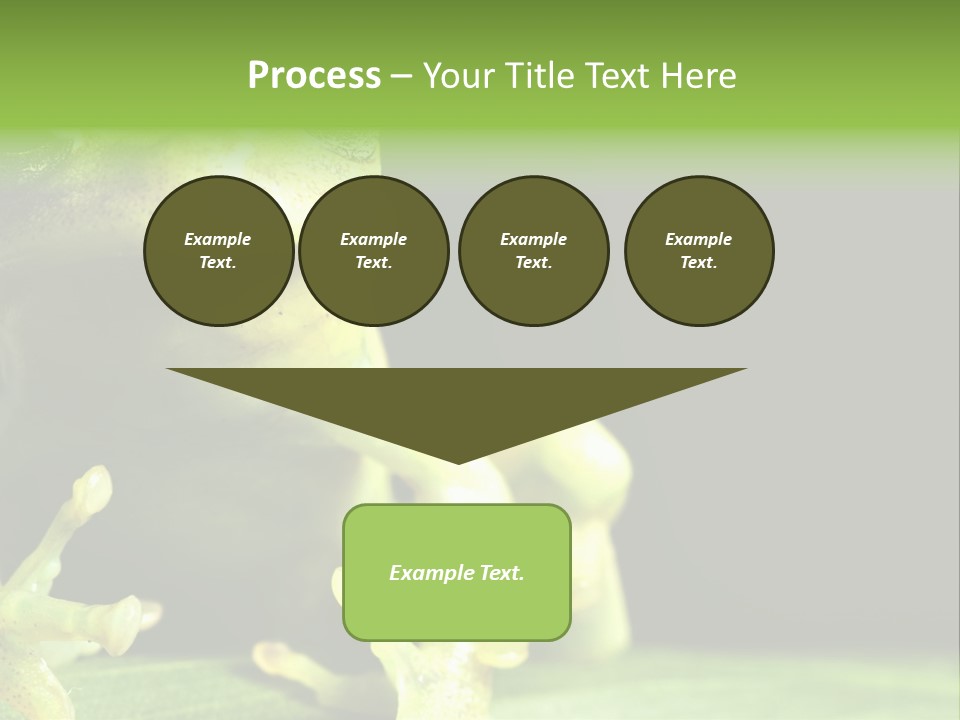 A Green Frog Sitting On Top Of A Leaf PowerPoint Template