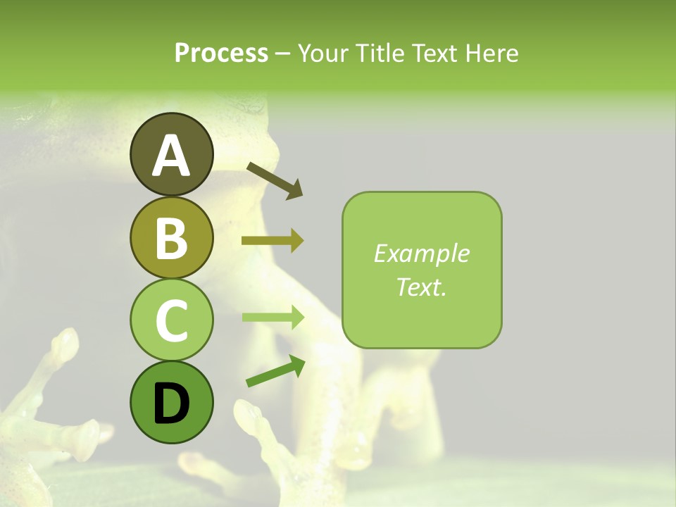 A Green Frog Sitting On Top Of A Leaf PowerPoint Template