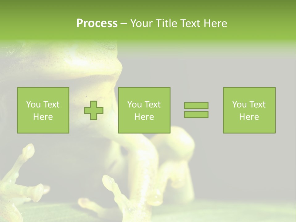 A Green Frog Sitting On Top Of A Leaf PowerPoint Template