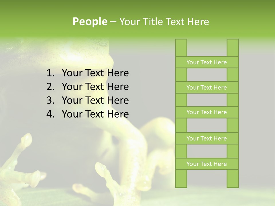 A Green Frog Sitting On Top Of A Leaf PowerPoint Template