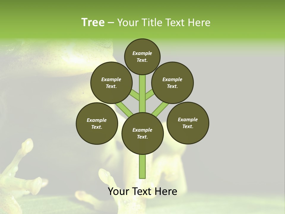 A Green Frog Sitting On Top Of A Leaf PowerPoint Template