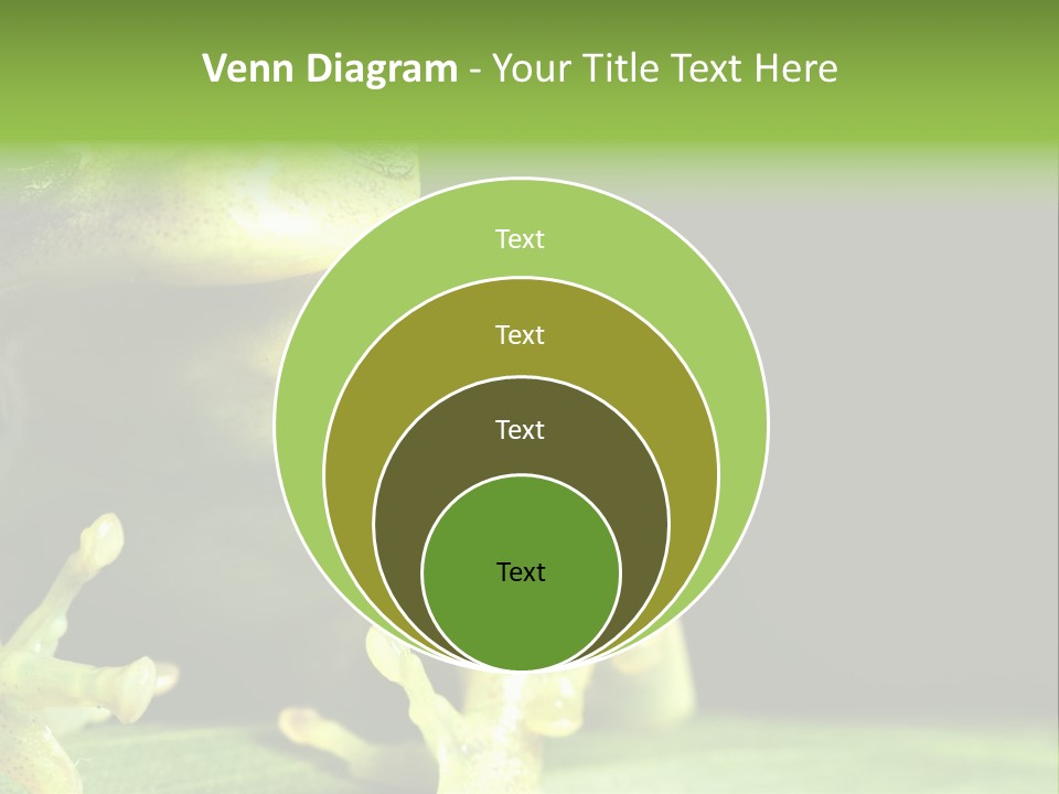 A Green Frog Sitting On Top Of A Leaf PowerPoint Template