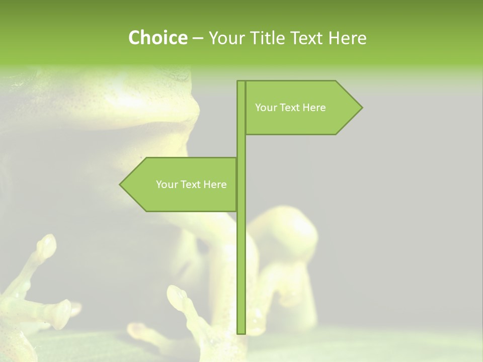 A Green Frog Sitting On Top Of A Leaf PowerPoint Template