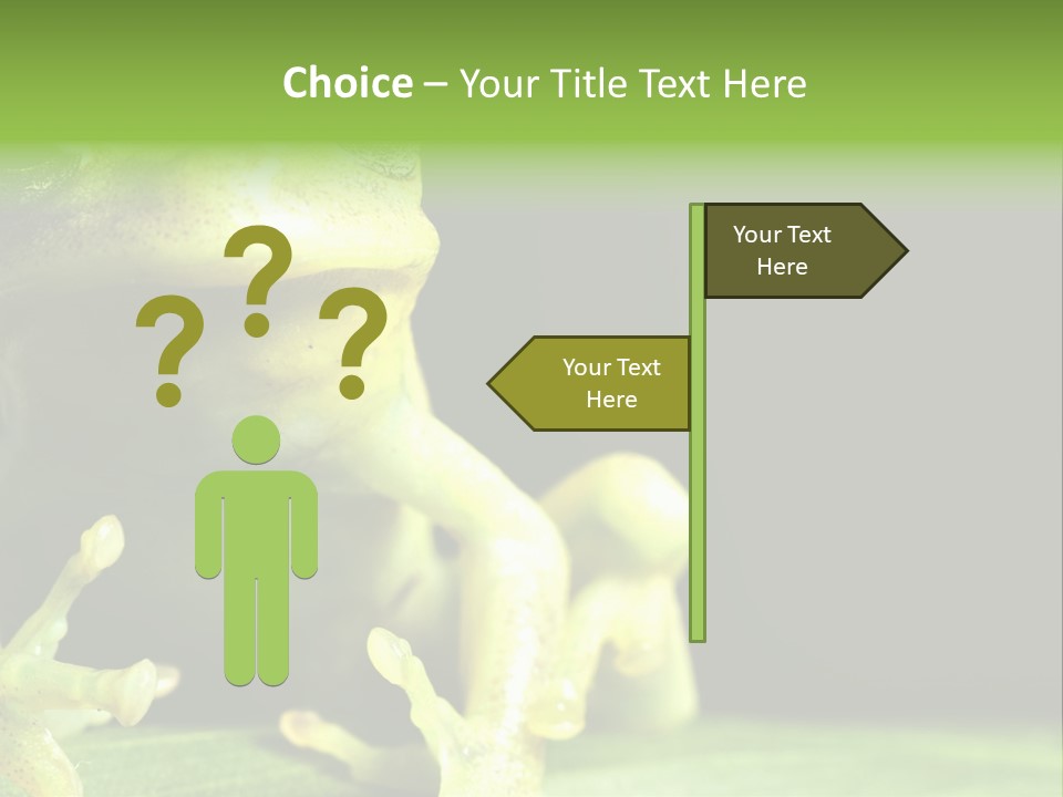 A Green Frog Sitting On Top Of A Leaf PowerPoint Template