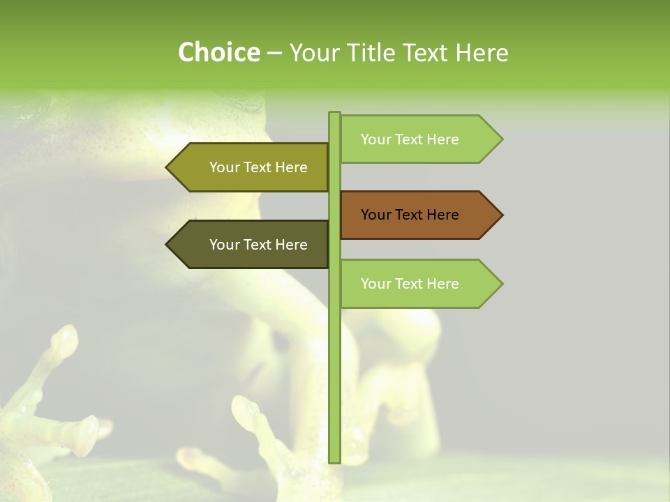 A Green Frog Sitting On Top Of A Leaf PowerPoint Template