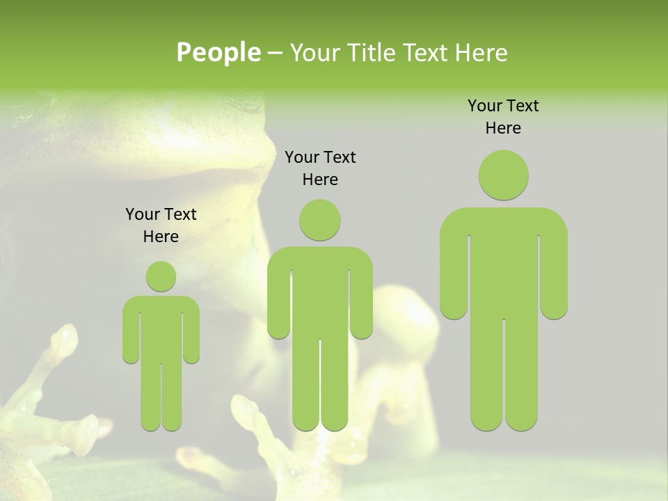 A Green Frog Sitting On Top Of A Leaf PowerPoint Template