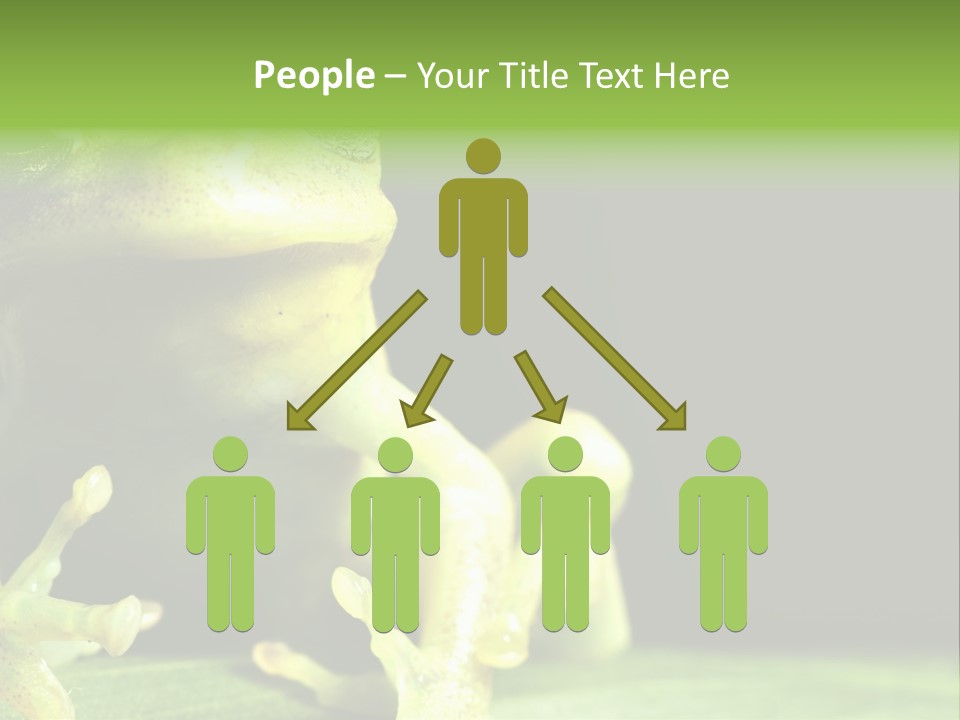 A Green Frog Sitting On Top Of A Leaf PowerPoint Template