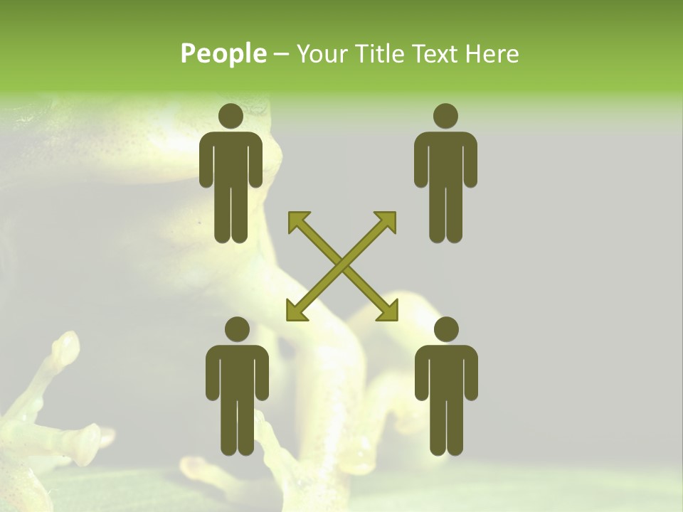 A Green Frog Sitting On Top Of A Leaf PowerPoint Template