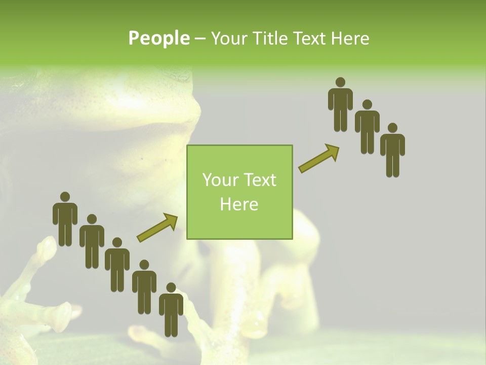 A Green Frog Sitting On Top Of A Leaf PowerPoint Template