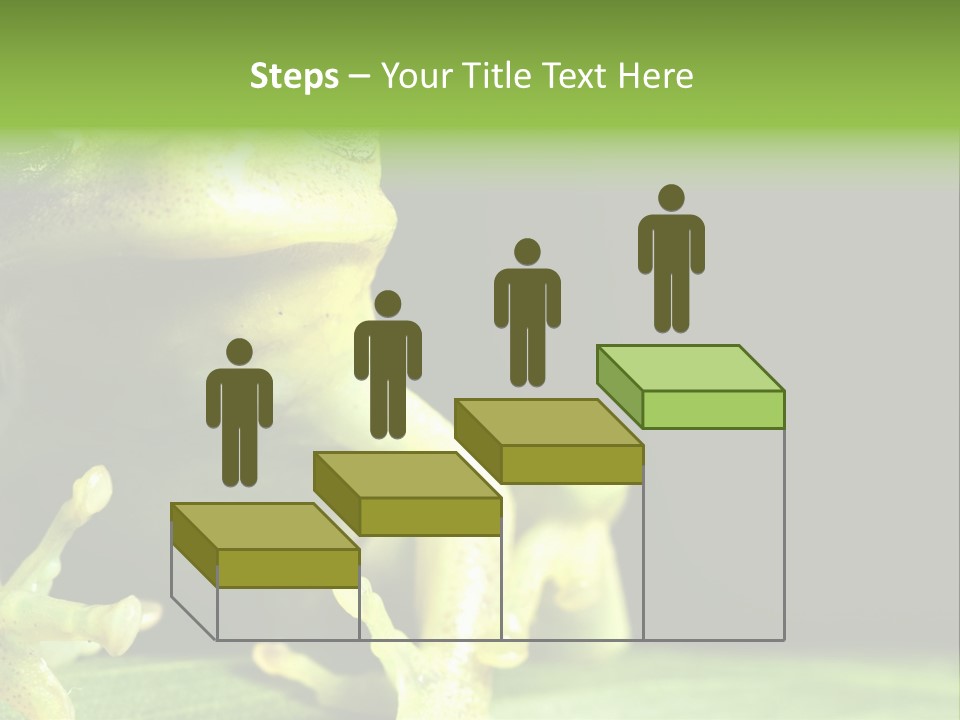 A Green Frog Sitting On Top Of A Leaf PowerPoint Template