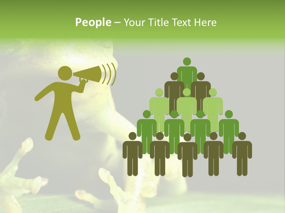 A Green Frog Sitting On Top Of A Leaf PowerPoint Template