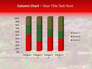 Pond House Garden PowerPoint Template