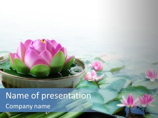 Relax Copy Flower PowerPoint Template