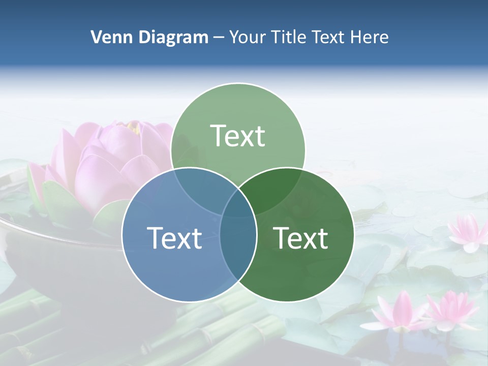 Relax Copy Flower PowerPoint Template