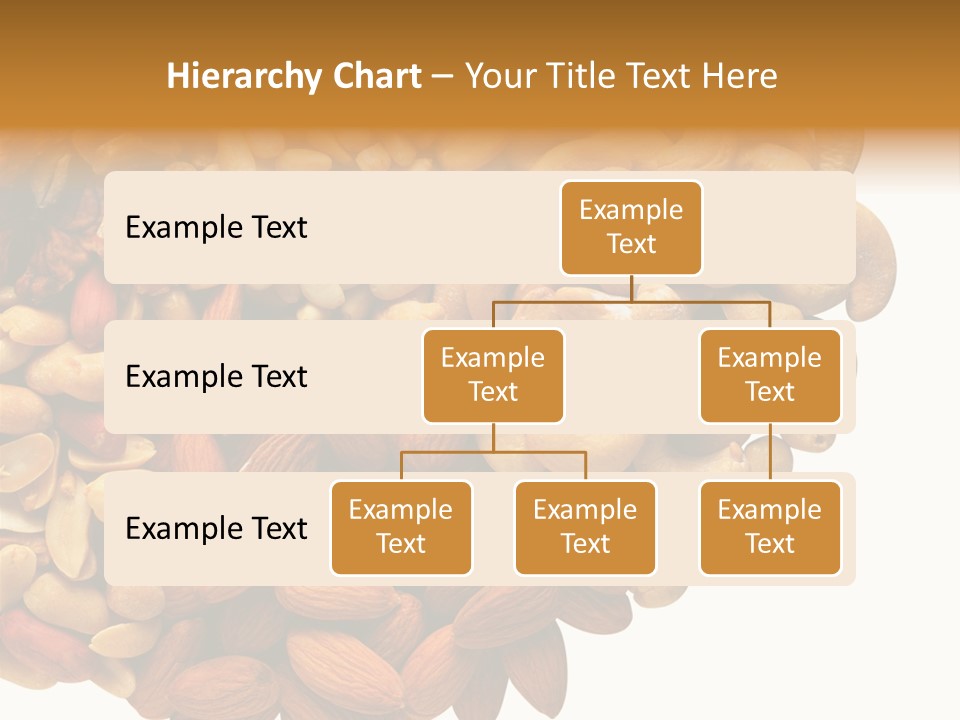 Technology Business Woman PowerPoint Template