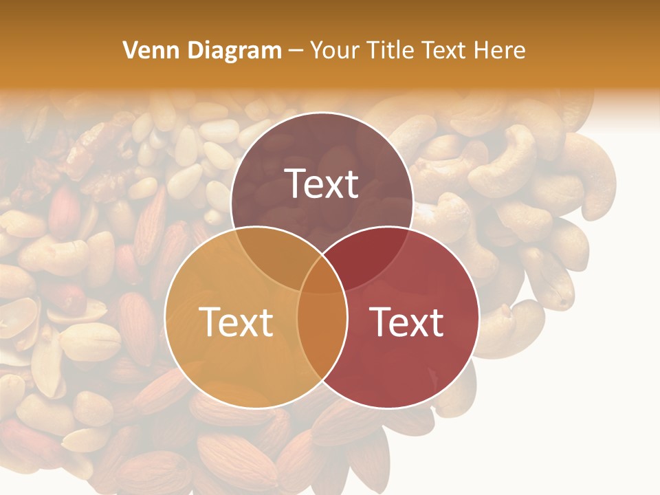 Technology Business Woman PowerPoint Template