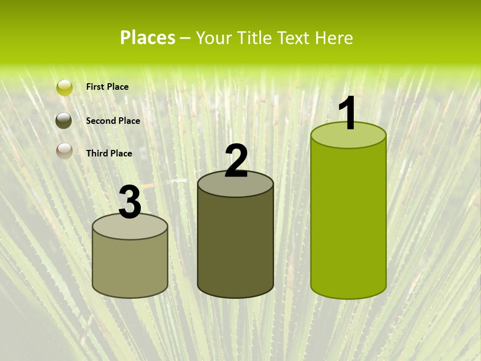 Carlsbad North Attraction PowerPoint Template