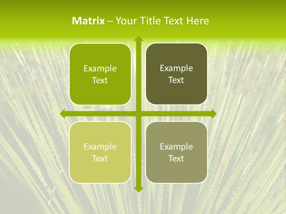 Carlsbad North Attraction PowerPoint Template