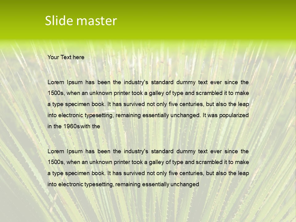 Carlsbad North Attraction PowerPoint Template