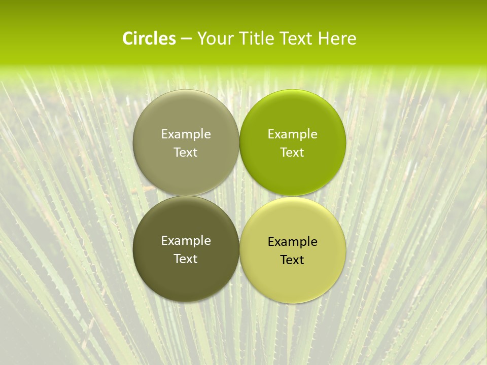 Carlsbad North Attraction PowerPoint Template