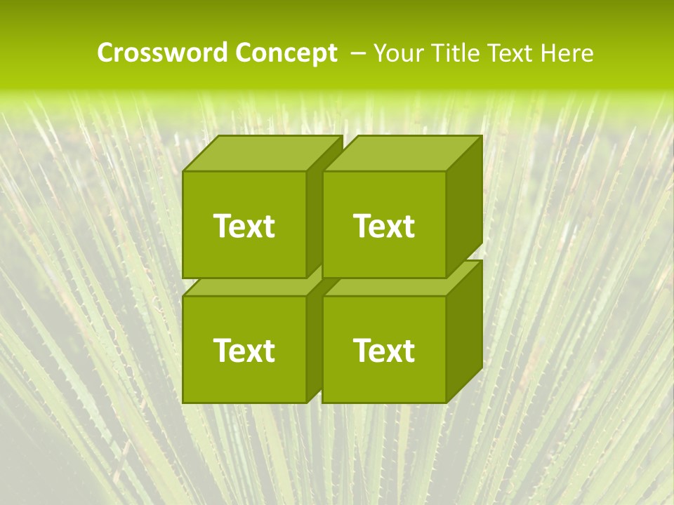 Carlsbad North Attraction PowerPoint Template
