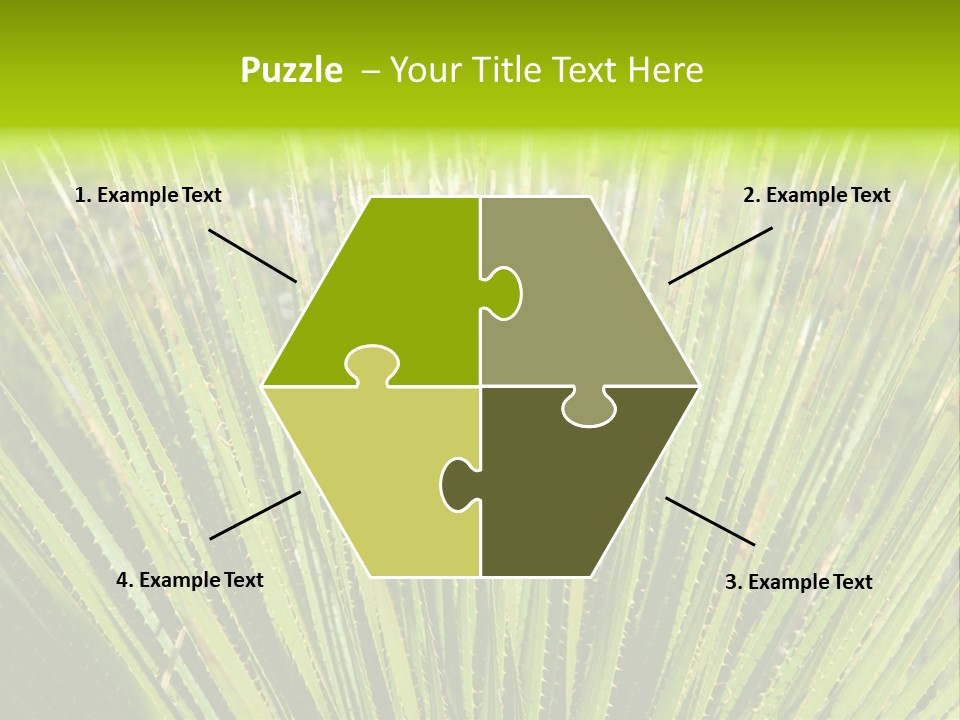 Carlsbad North Attraction PowerPoint Template