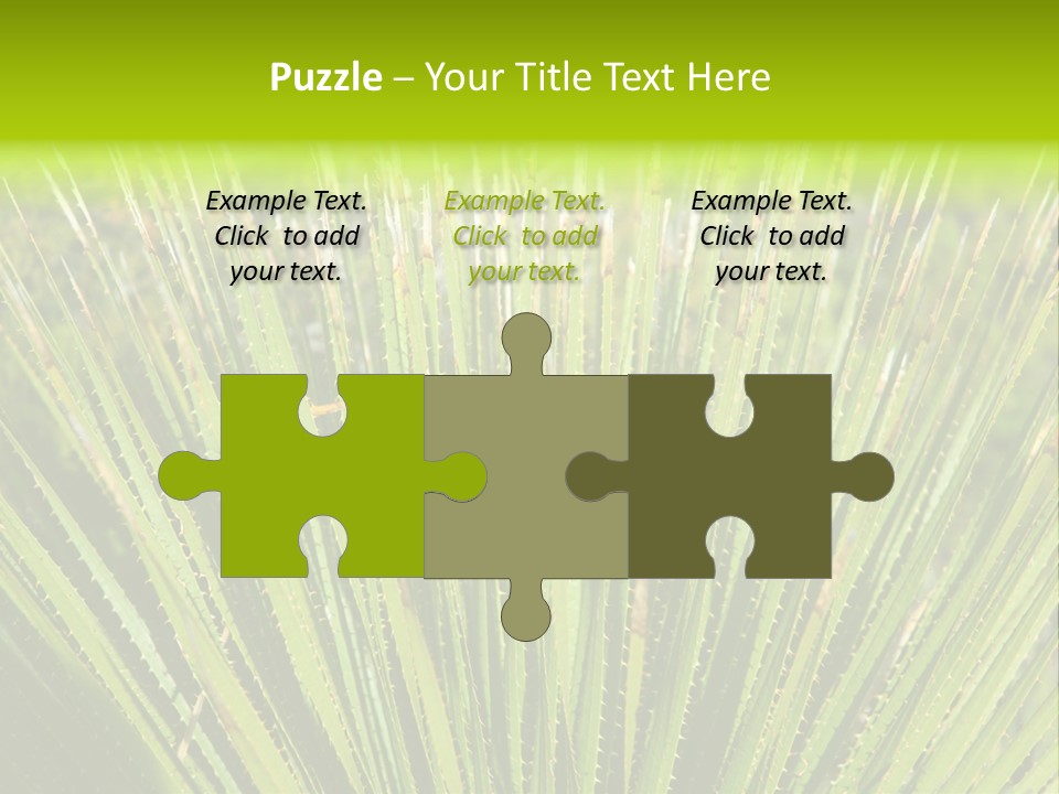 Carlsbad North Attraction PowerPoint Template