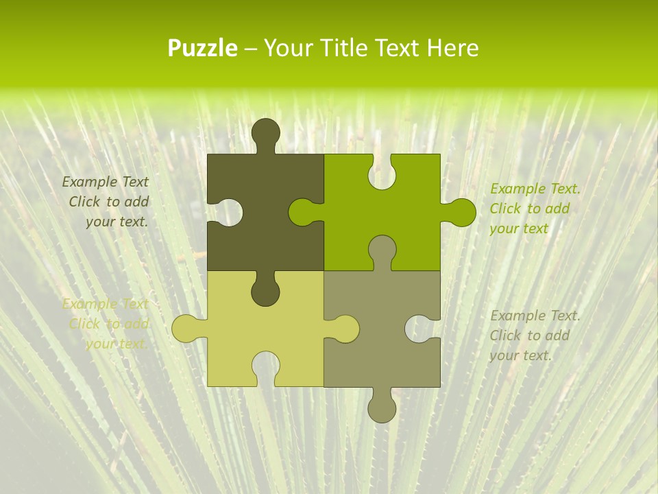 Carlsbad North Attraction PowerPoint Template