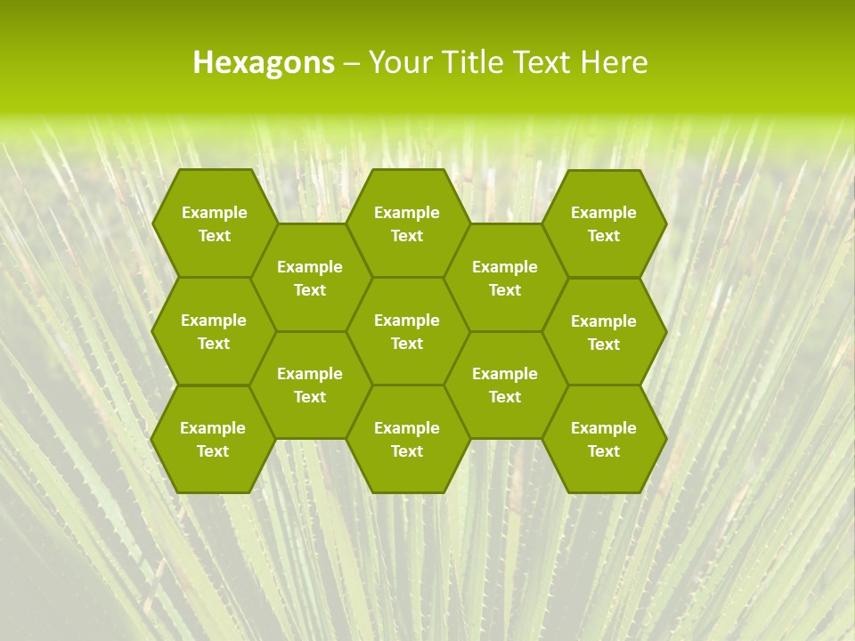 Carlsbad North Attraction PowerPoint Template