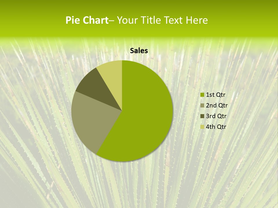 Carlsbad North Attraction PowerPoint Template