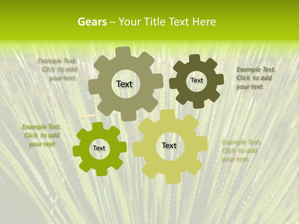 Carlsbad North Attraction PowerPoint Template